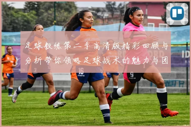 足球教练第二季高清版精彩回顾与分析带你领略足球战术的魅力与团队精神
