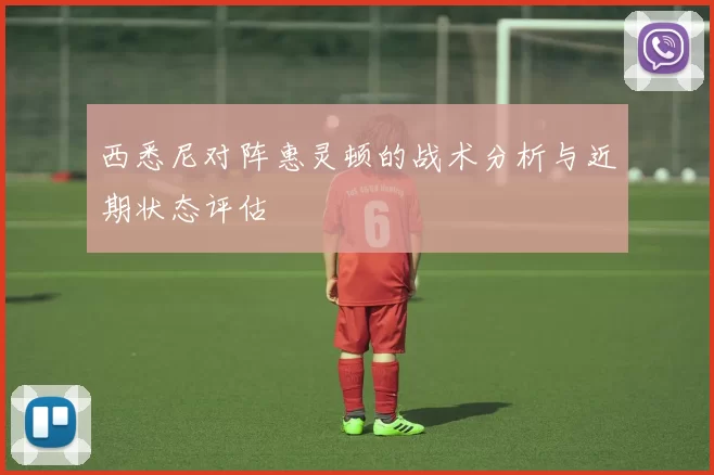西悉尼对阵惠灵顿的战术分析与近期状态评估
